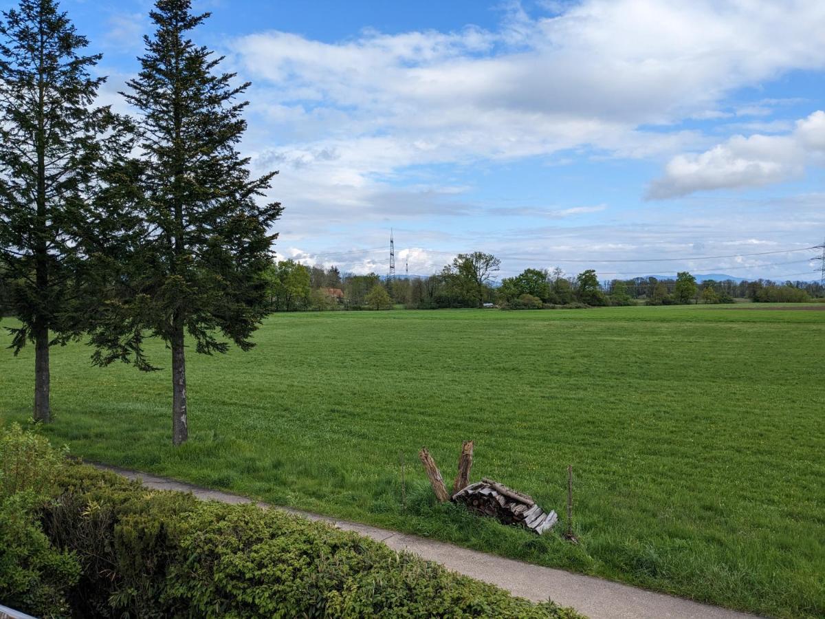 Badischer Neubau-Ruhe-Kunst-Natur 莱瑙 外观 照片