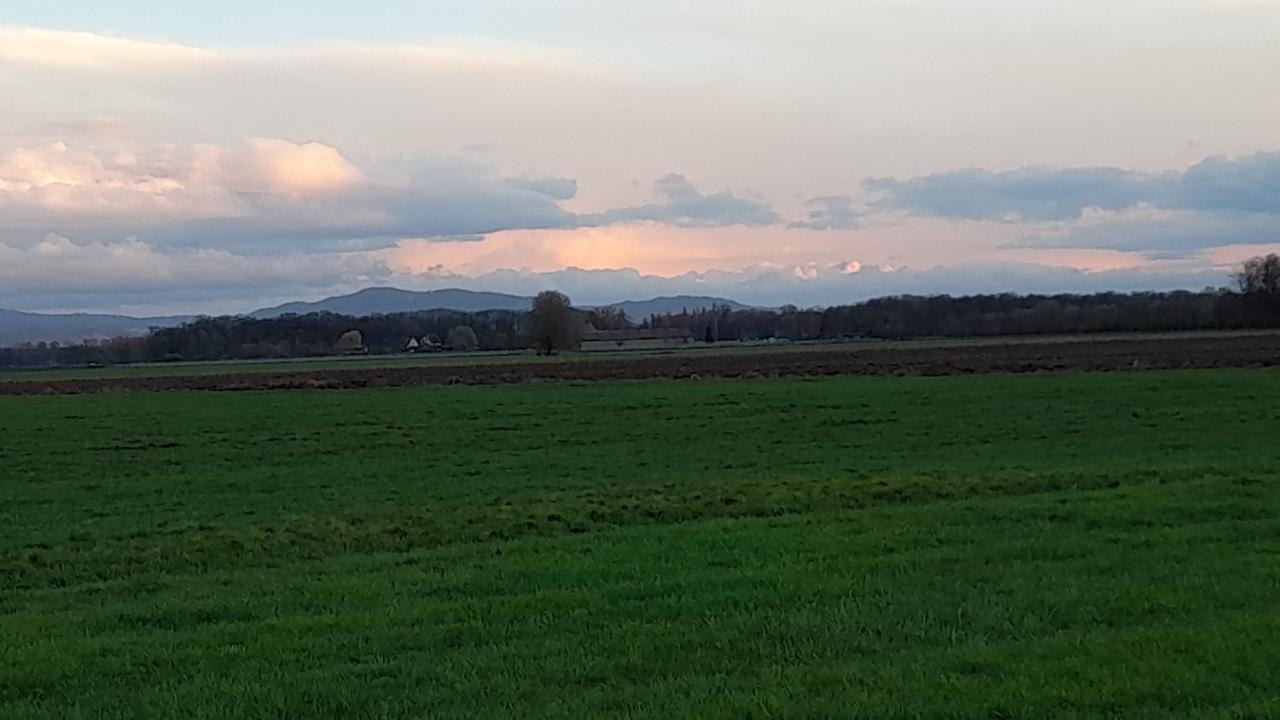 Badischer Neubau-Ruhe-Kunst-Natur 莱瑙 外观 照片