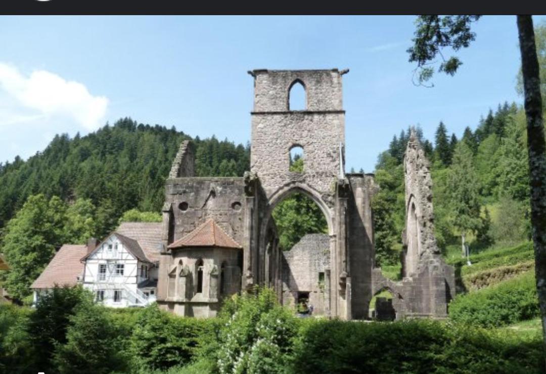 Badischer Neubau-Ruhe-Kunst-Natur 莱瑙 外观 照片