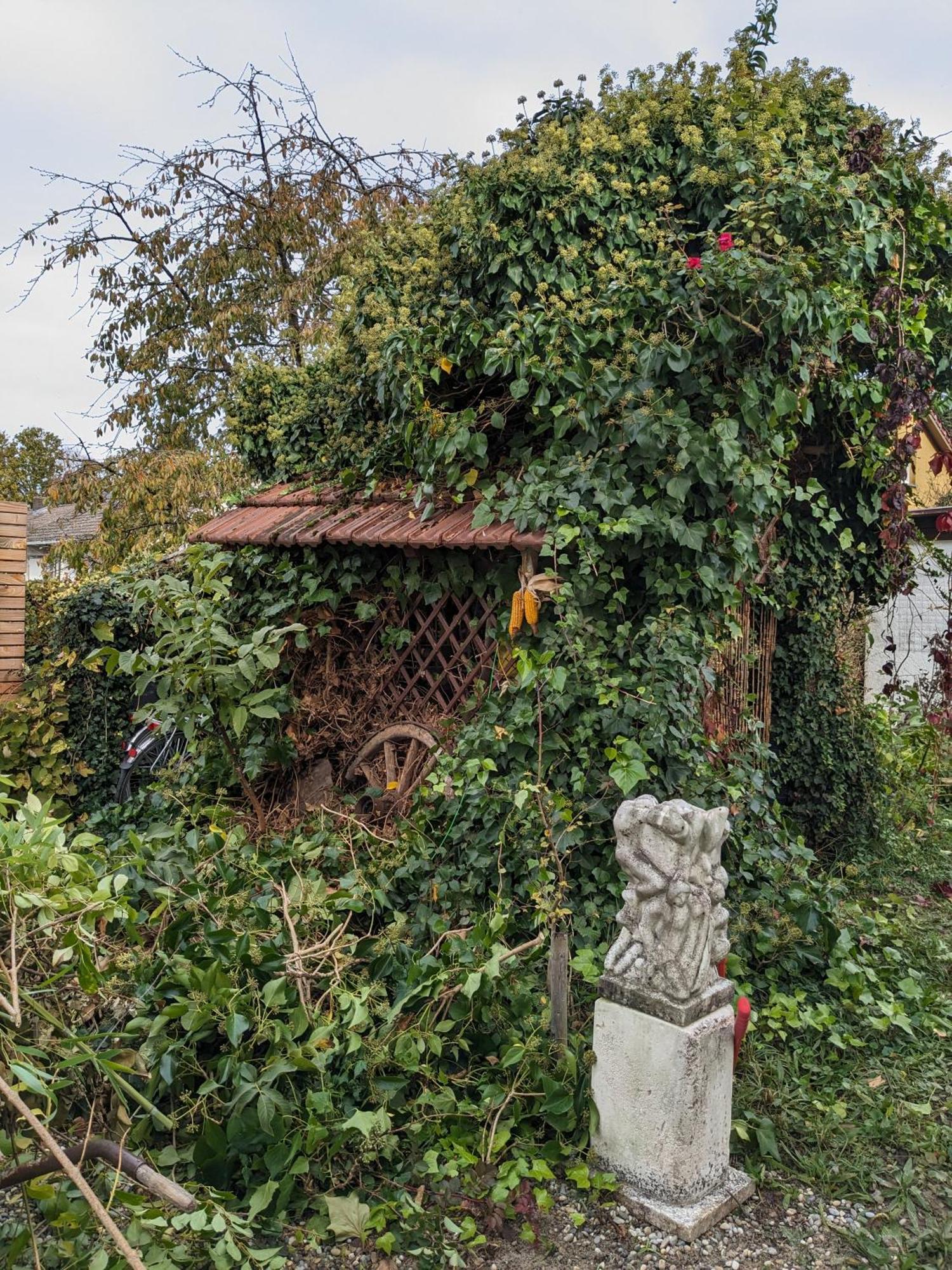 Badischer Neubau-Ruhe-Kunst-Natur 莱瑙 外观 照片