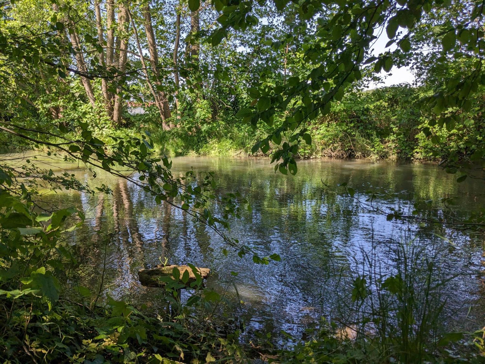 Badischer Neubau-Ruhe-Kunst-Natur 莱瑙 外观 照片