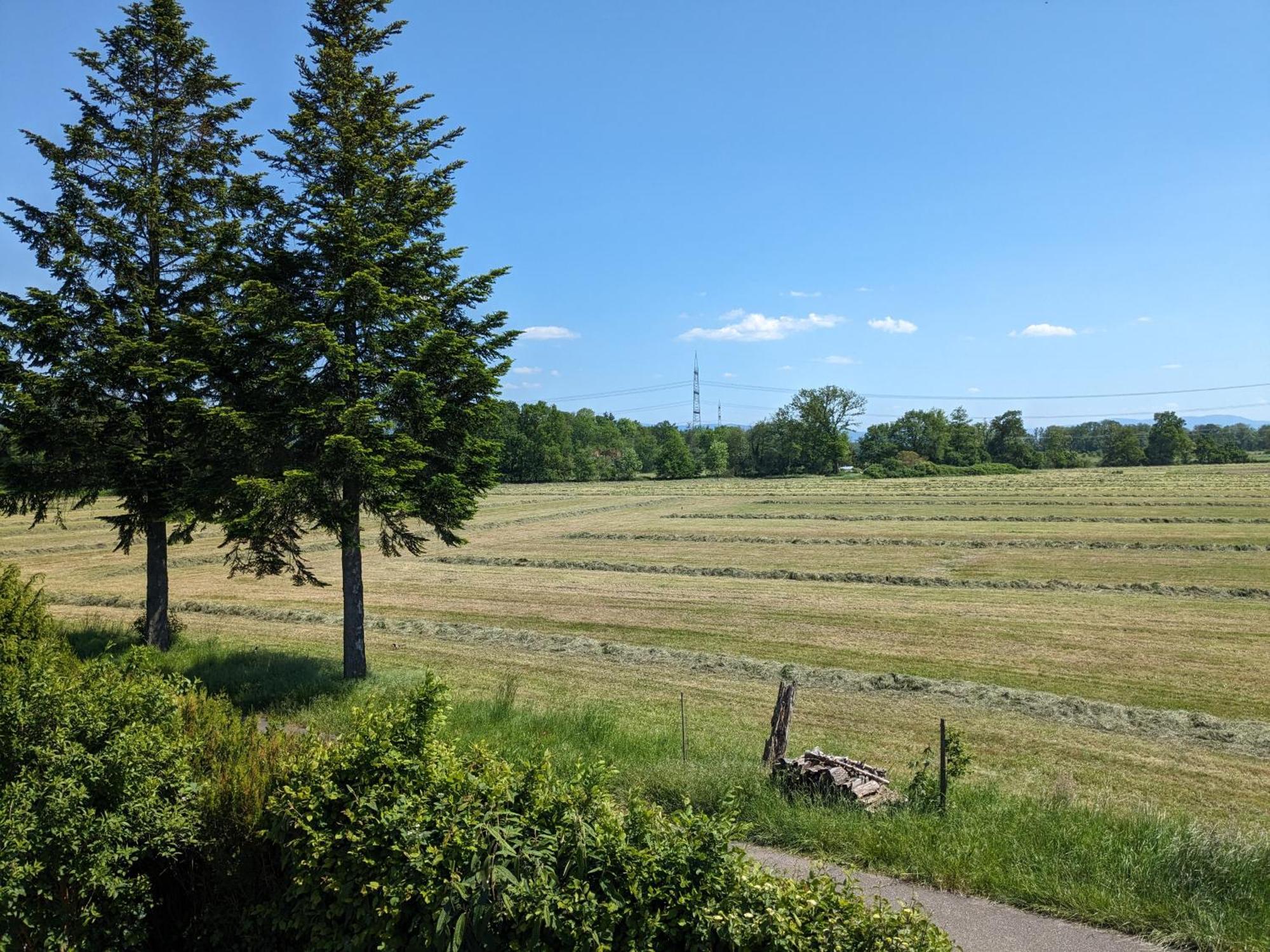 Badischer Neubau-Ruhe-Kunst-Natur 莱瑙 外观 照片