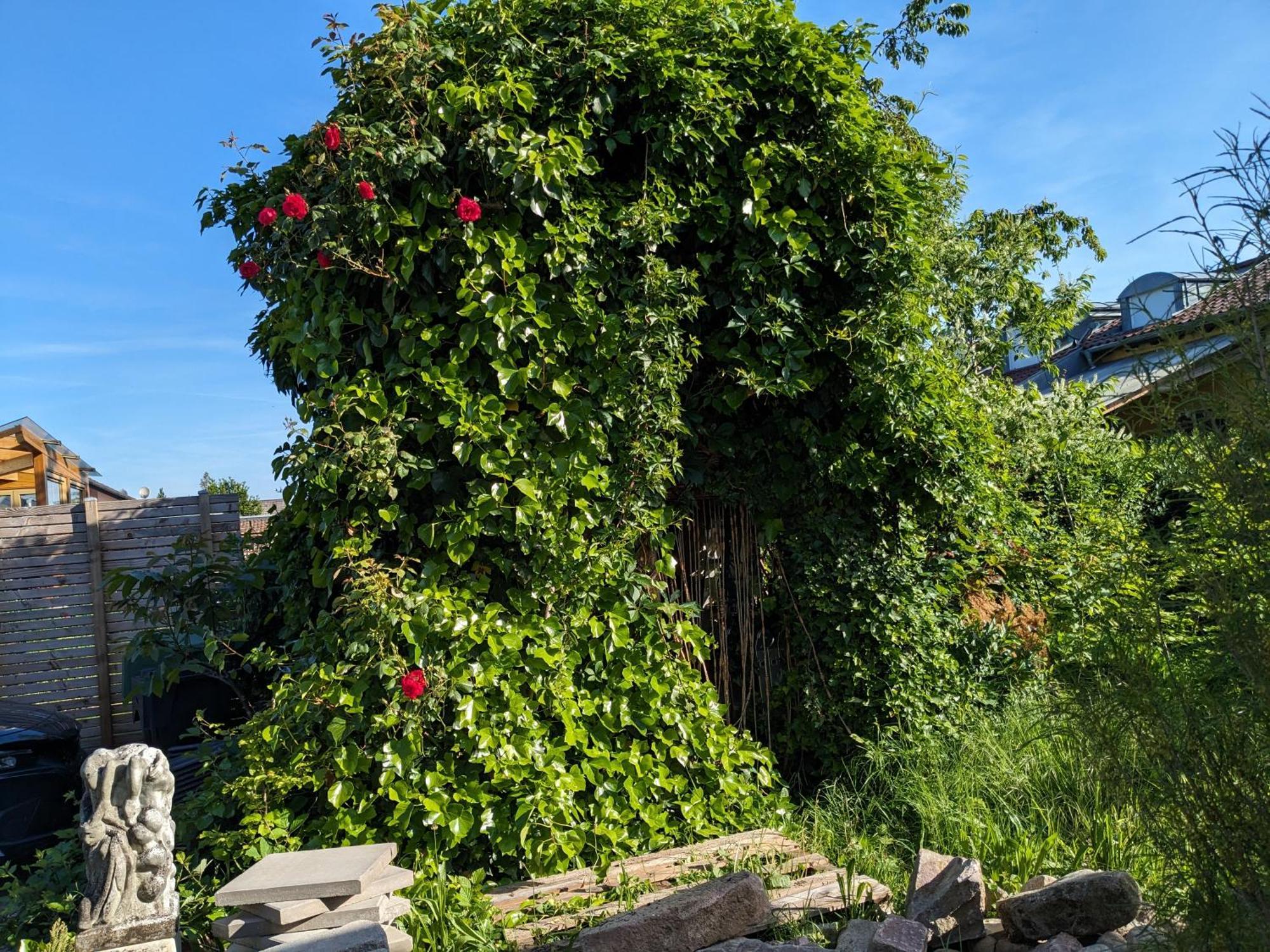 Badischer Neubau-Ruhe-Kunst-Natur 莱瑙 外观 照片