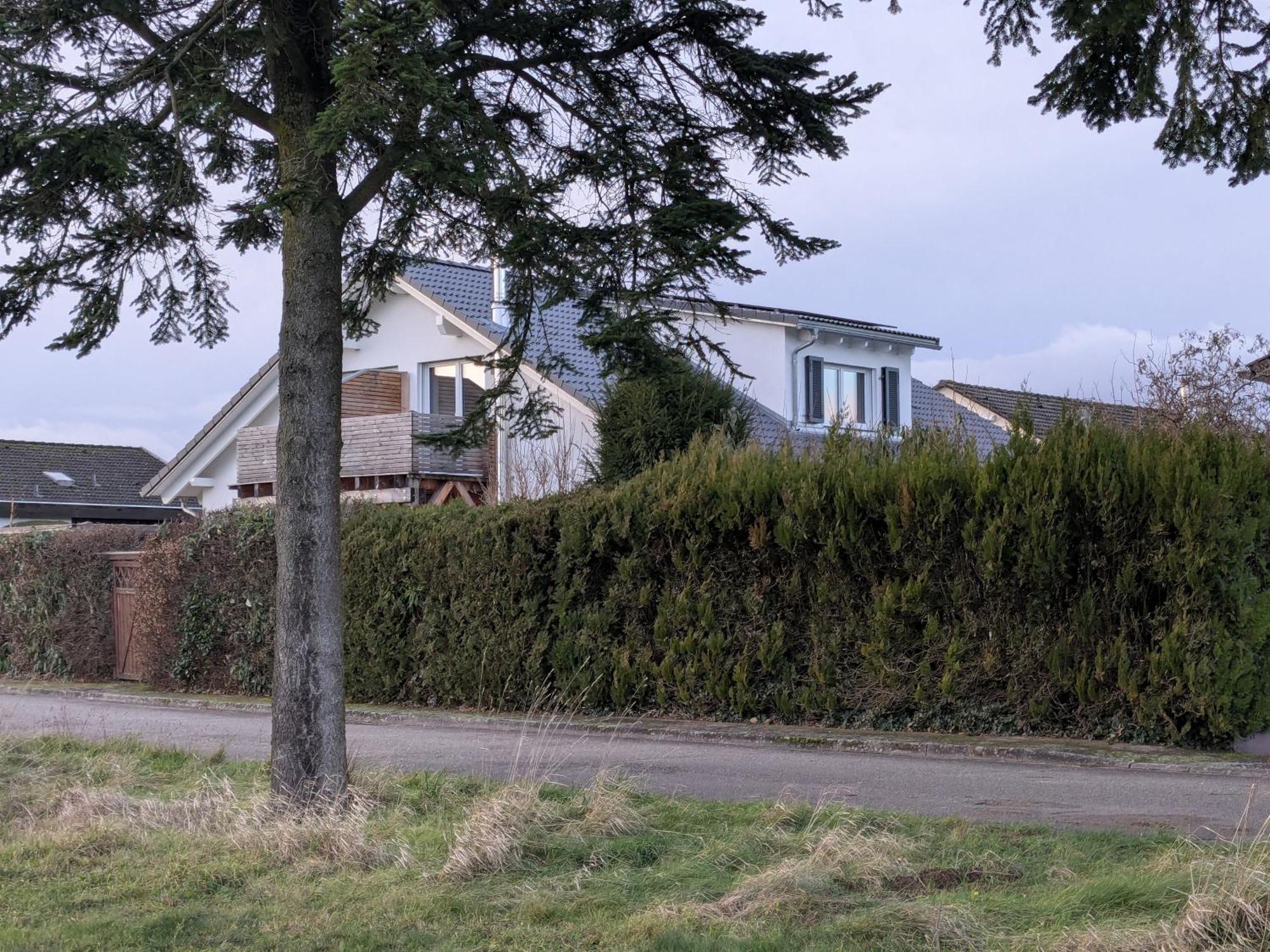 Badischer Neubau-Ruhe-Kunst-Natur 莱瑙 外观 照片